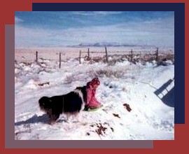 Jenna and Ishky, playing in the snow